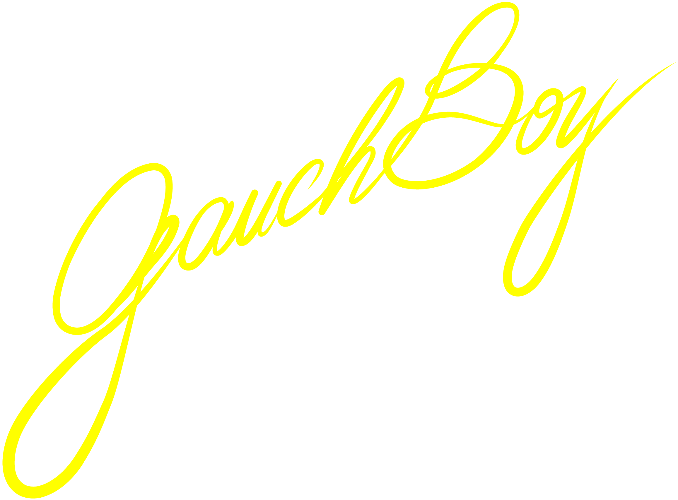 GauchBoy